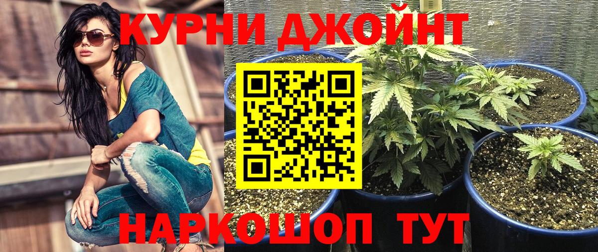 Шишки марихуана марихуана  Шишки марихуана SATIVA & INDICA  Вход с VPN  Красноуфимск  Канабис гибрид 